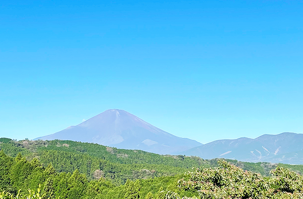 神奈川県のゴルフ場　オリムピックナショナルゴルフクラブ サカワコースのコースの富士山の写真